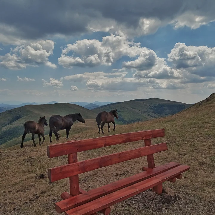 兹拉蒂博尔 Zlatibor 塞尔维亚西南山地